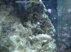 clear MC dec2708 031.jpg