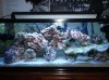 aquascape.jpg