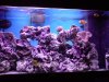 DSC00254.jpg