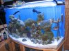 IMG_4762.jpg