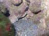 100_0902.JPG