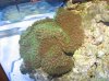 IMG_4765.jpg