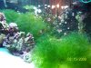 100_1018sm.jpg