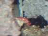 100_2196.jpg