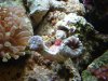 DSCF0207.JPG