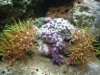 DSCF0212.JPG