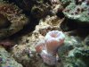 DSCF0097.JPG