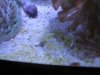 IMG_5659.JPG
