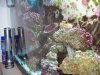 100_3268.jpg