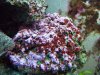 100_3259.jpg