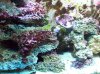100_3255.jpg