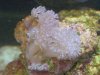 DSC04519.JPG