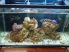 DSC04520.JPG