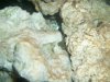 100_3323.jpg