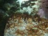 100_3325.jpg