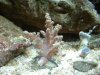 DSCF0223.JPG