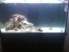 Picture 016.jpg