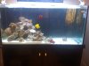 Picture 015.jpg