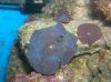 DSCN0457.jpg