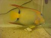 DSC03108.JPG