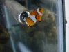 DSC01204.jpg