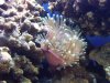IMG00005-20090228-1134.jpg
