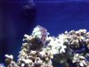 IMG00003-20090228-1134.jpg