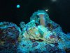 corys 056.jpg
