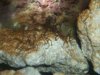 100_3327.jpg