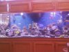 Feb09 052.jpg