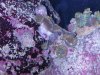 DSCN1103.jpg