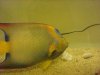 DSC03115.JPG