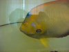 DSC03145.JPG
