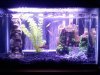 myfishtank.jpg