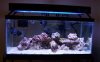 Tank_edited-1.jpg