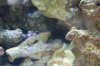 DSC_1110_2.jpg