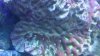 DSC00777.JPG
