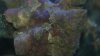 DSC00789.JPG