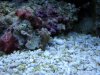 DSC01215.jpg