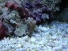 DSC01216.jpg