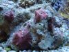 DSC01222.jpg