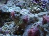 DSC01223.jpg