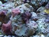 DSC01225.jpg