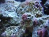 DSC01226.jpg