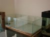 DSC03289.JPG