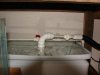 DSC03307.JPG