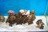 100_2076.jpg