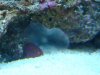 Mar-20-2009_0430.jpg