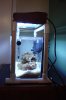 DSC00517.jpg