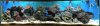 3-18-09 pano.jpg